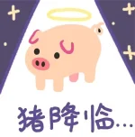 1747118198037.webp