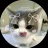 FaceWhite_233